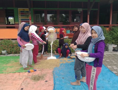 SD Negeri 12 Suah Api